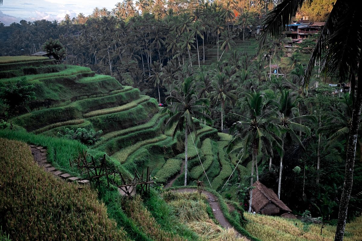 Indonesia